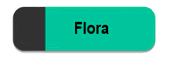 Flora salobre