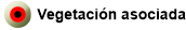 verduras asociadas quejigo