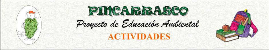 pincarrasco actividades