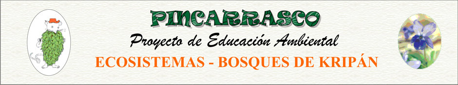 pincarrasco objetivos