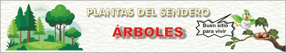 pincarrasco objetivos