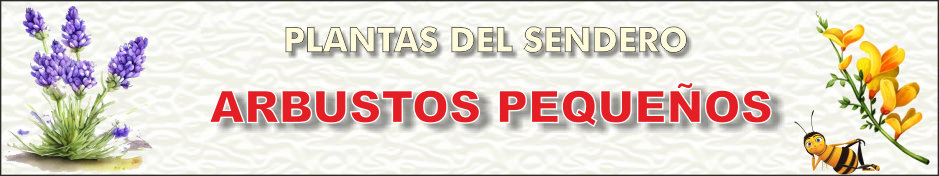 pincarrasco objetivos